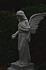 M-himmlisch - (c) R Herling.jpg